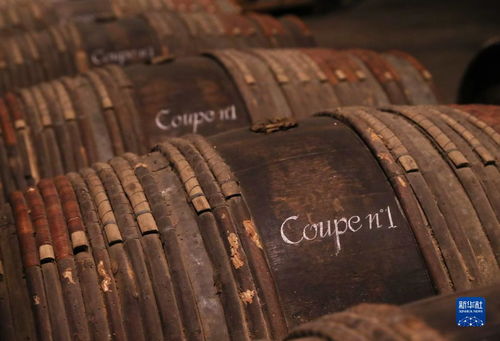 法国干邑 探访轩尼诗工厂 品葡萄酒之美